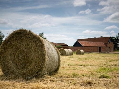Trustans Barn Bed & Breakfast Darsham Eksteriør bilde
